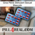 Gros Pénis Stimulant Sexuel Masculin 05